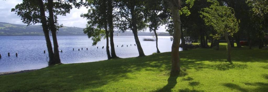 Lakeside Cottage Killaloe Extérieur photo
