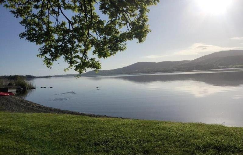 Lakeside Cottage Killaloe Extérieur photo